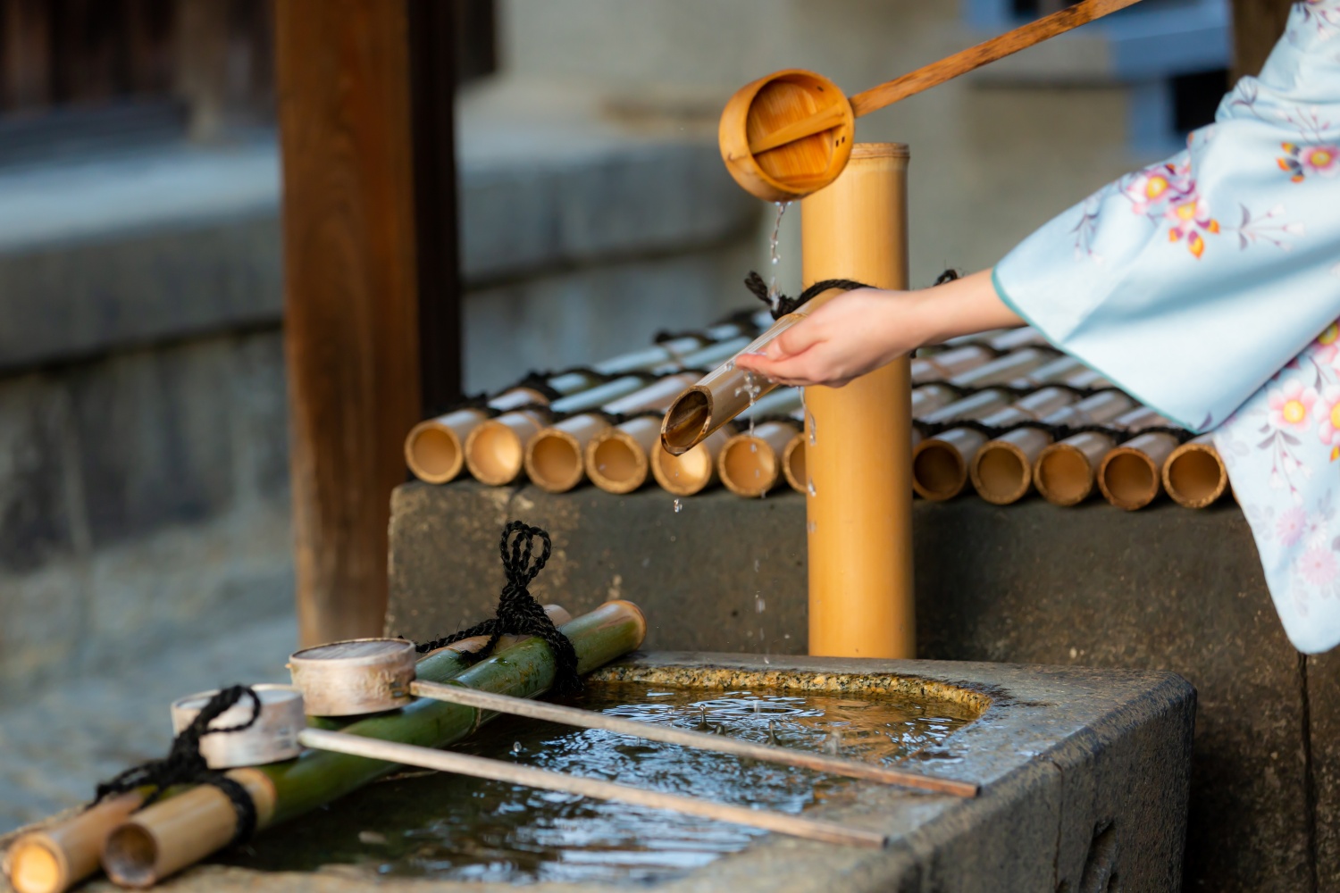 Hand Purification