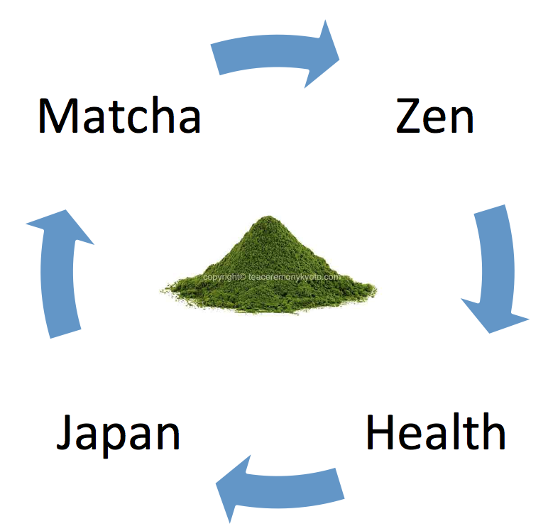 Life Cycle Diagram